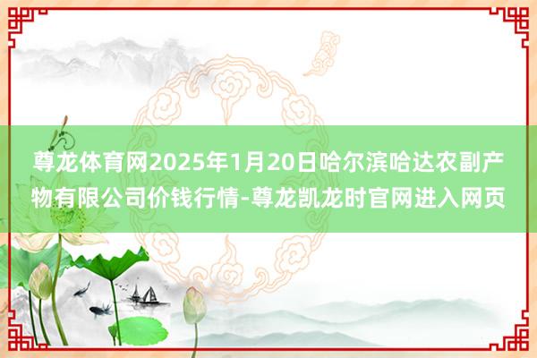 尊龙体育网2025年1月20日哈尔滨哈达农副产物有限公司价钱行情-尊龙凯龙时官网进入网页