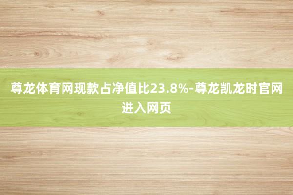 尊龙体育网现款占净值比23.8%-尊龙凯龙时官网进入网页