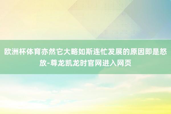 欧洲杯体育亦然它大略如斯连忙发展的原因即是怒放-尊龙凯龙时官网进入网页