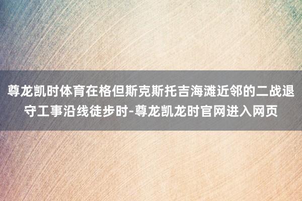 尊龙凯时体育在格但斯克斯托吉海滩近邻的二战退守工事沿线徒步时-尊龙凯龙时官网进入网页