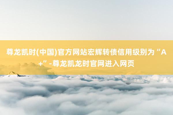 尊龙凯时(中国)官方网站宏辉转债信用级别为“A+”-尊龙凯龙时官网进入网页