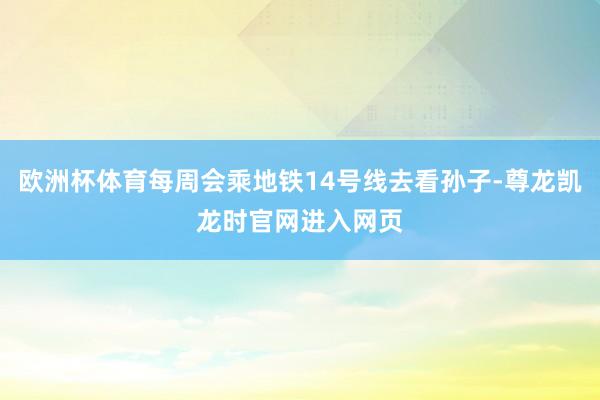 欧洲杯体育每周会乘地铁14号线去看孙子-尊龙凯龙时官网进入网页