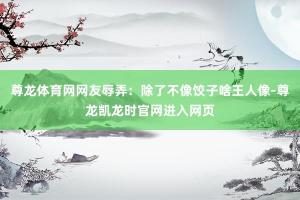 尊龙体育网网友辱弄：除了不像饺子啥王人像-尊龙凯龙时官网进入网页
