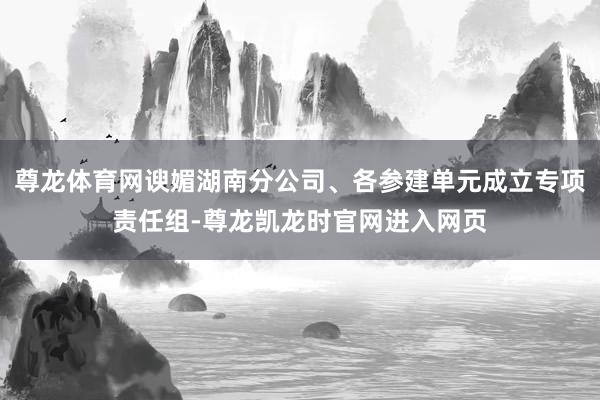 尊龙体育网谀媚湖南分公司、各参建单元成立专项责任组-尊龙凯龙时官网进入网页